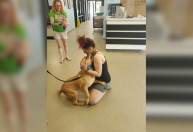 Esta mulher queria adotar um cachorro. E encontrou o que havia perdido há 2 anos