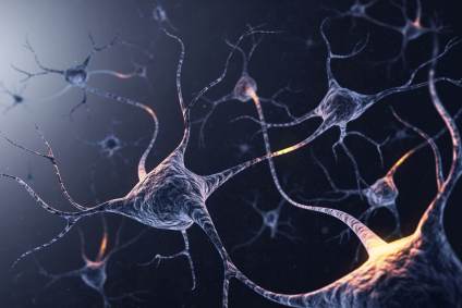 Neurônios