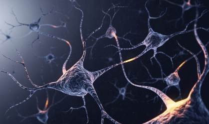 Cientistas revelam como a estimulação cerebral profunda ajuda no controle da epilepsia