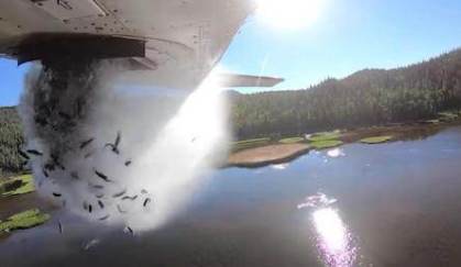 Pequenas trutas caem em cascata do fundo de um avião voando baixo sobre um lago
