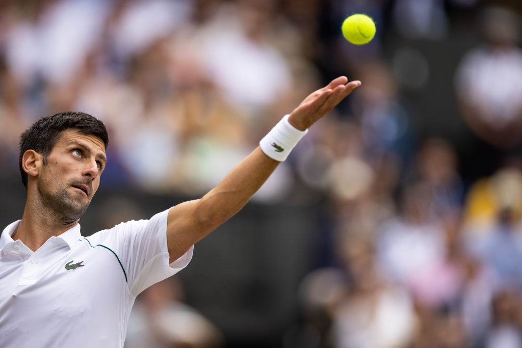 Tenista Novak Djokovic Tenista Novak Djokovic