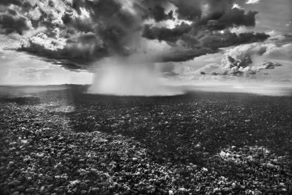 Livro &quot;Amazônia&quot; de Sebastião Salgado