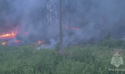 Aumento de temperatura acima do normal provou mais de 400 incêndios florestais