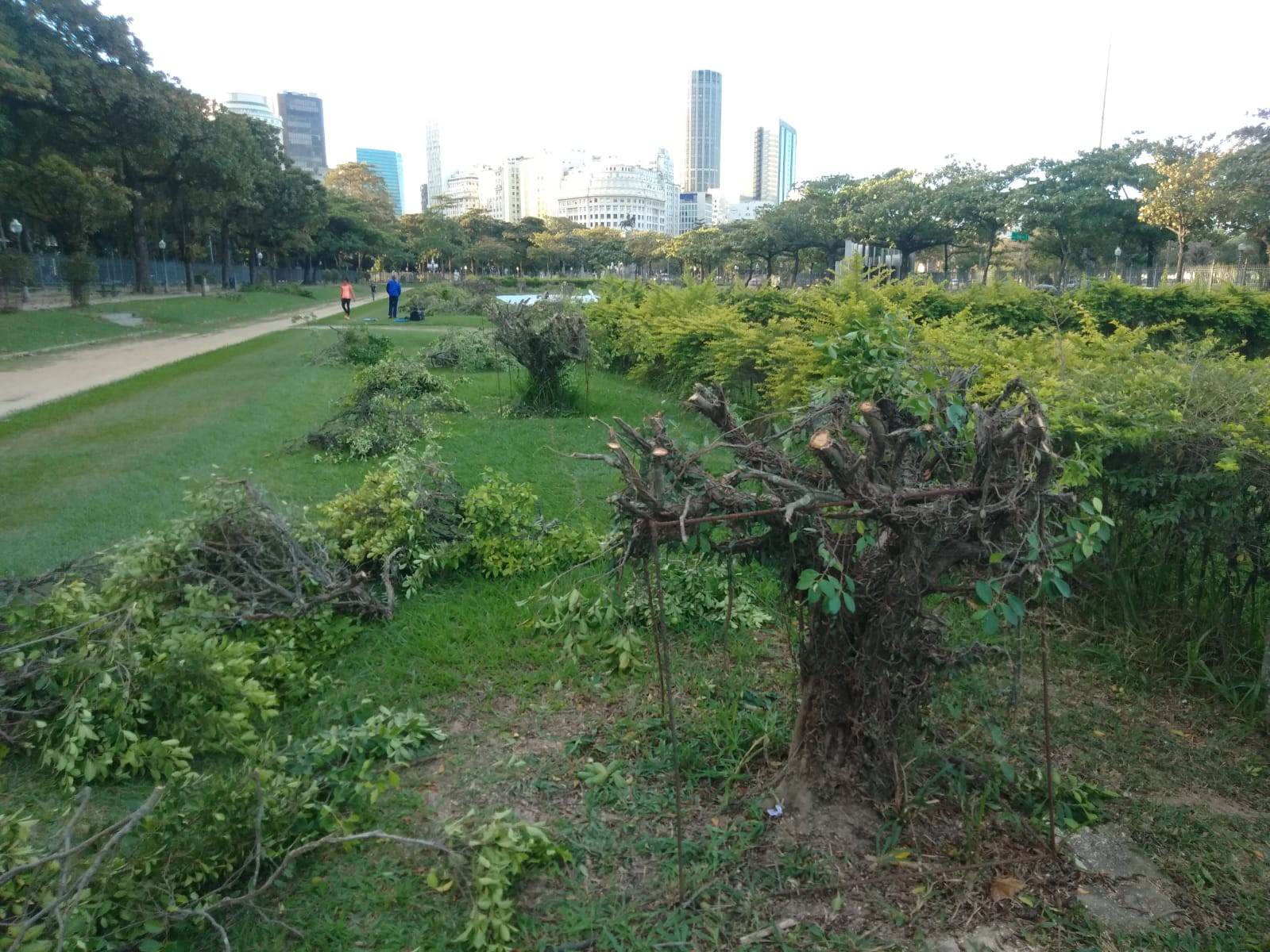 Moradores no Rio criticam poda de árvores em praça histórica