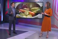 Dieta rica em vegetais e soja controla sintomas da menopausa, revela estudo