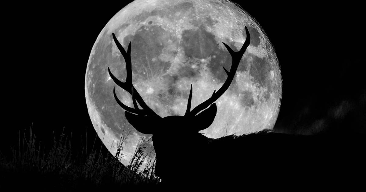 Semana tem Lua Cheia especial que pode ser vista a olho nu