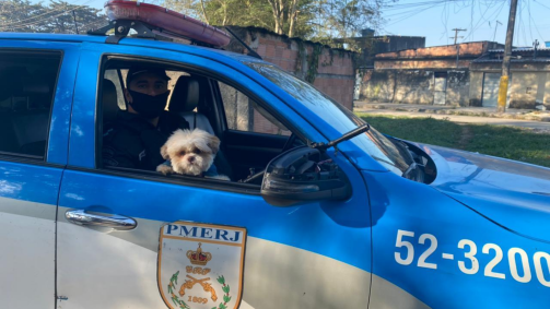 O cachorrinho Billy foi localizado na rua e resgatado pela polícia