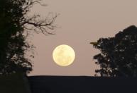 Lua Cheia Rosa surge no céu nesta semana; entenda o fenômeno