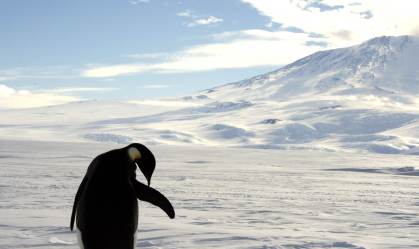 antártica