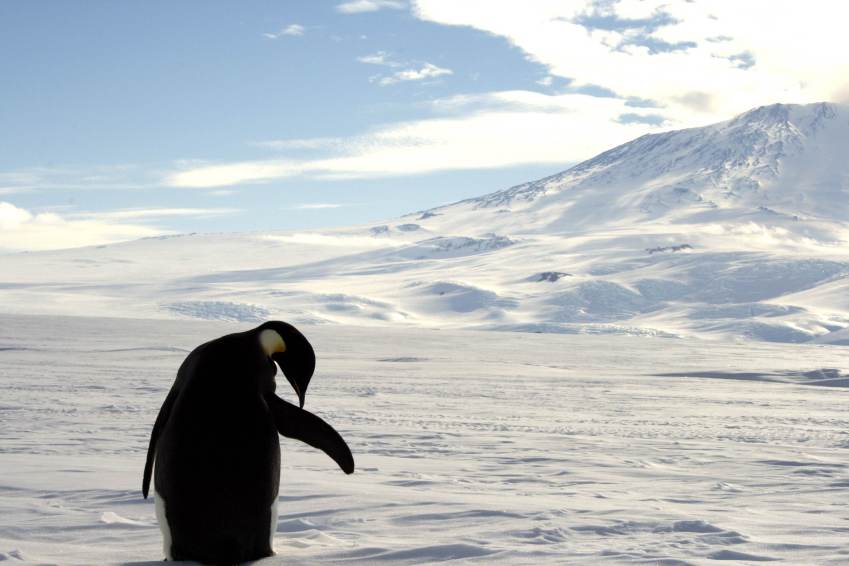 Mudanças climáticas trarão clima ainda mais extremo, alertam pesquisadores / REUTERS