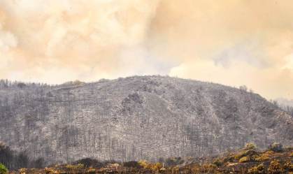 queimadas sardinia