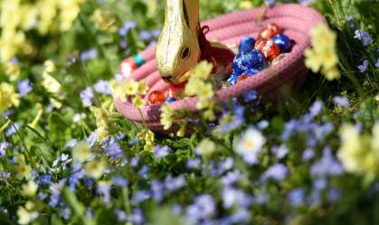Coelho da Páscoa da Lindt