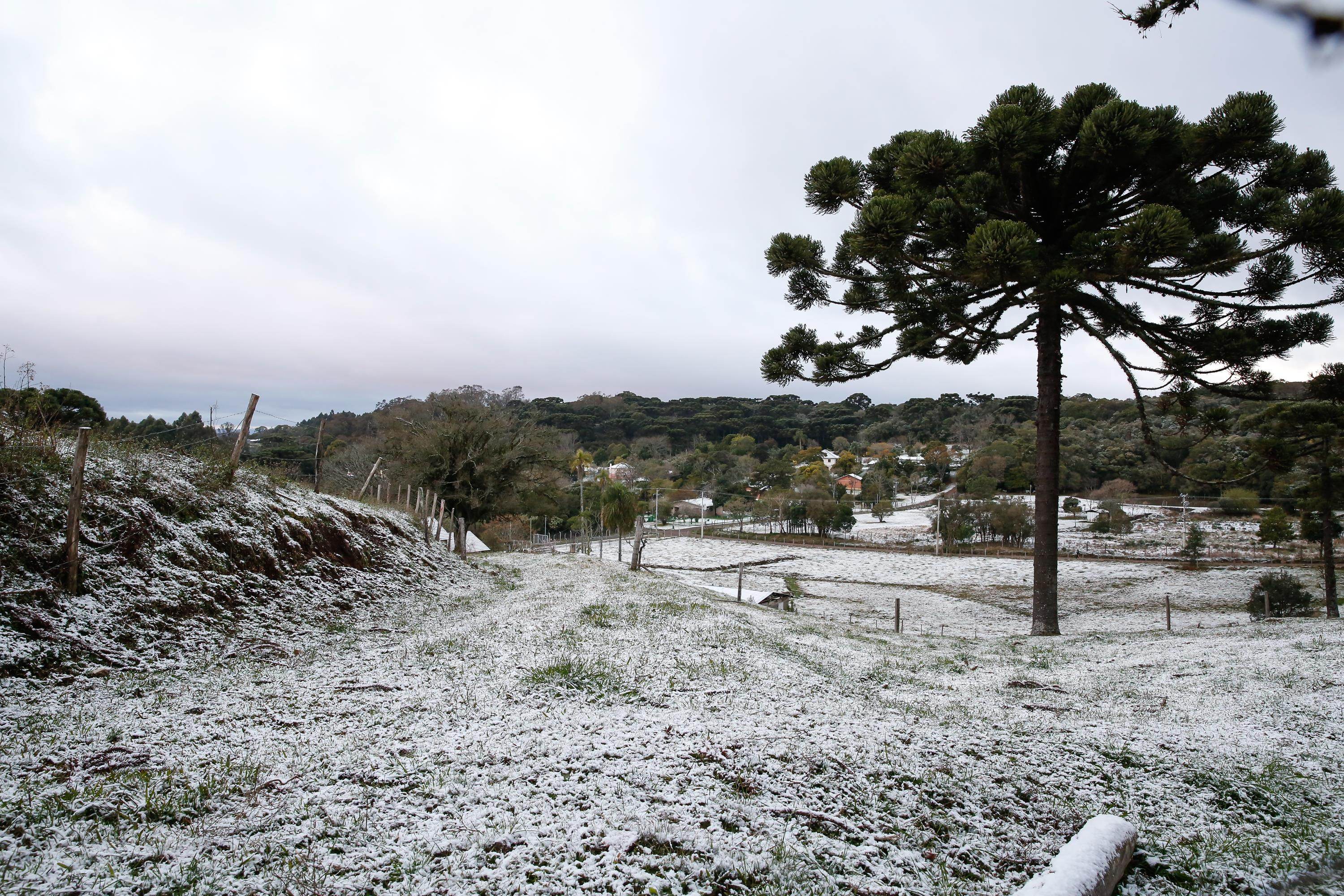Neve acumulada no interior de Caxias do Sul (RS), na manhã desta quinta-feira (2