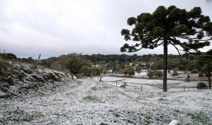 O que esperar do preço dos alimentos com onda de frio que causa geadas