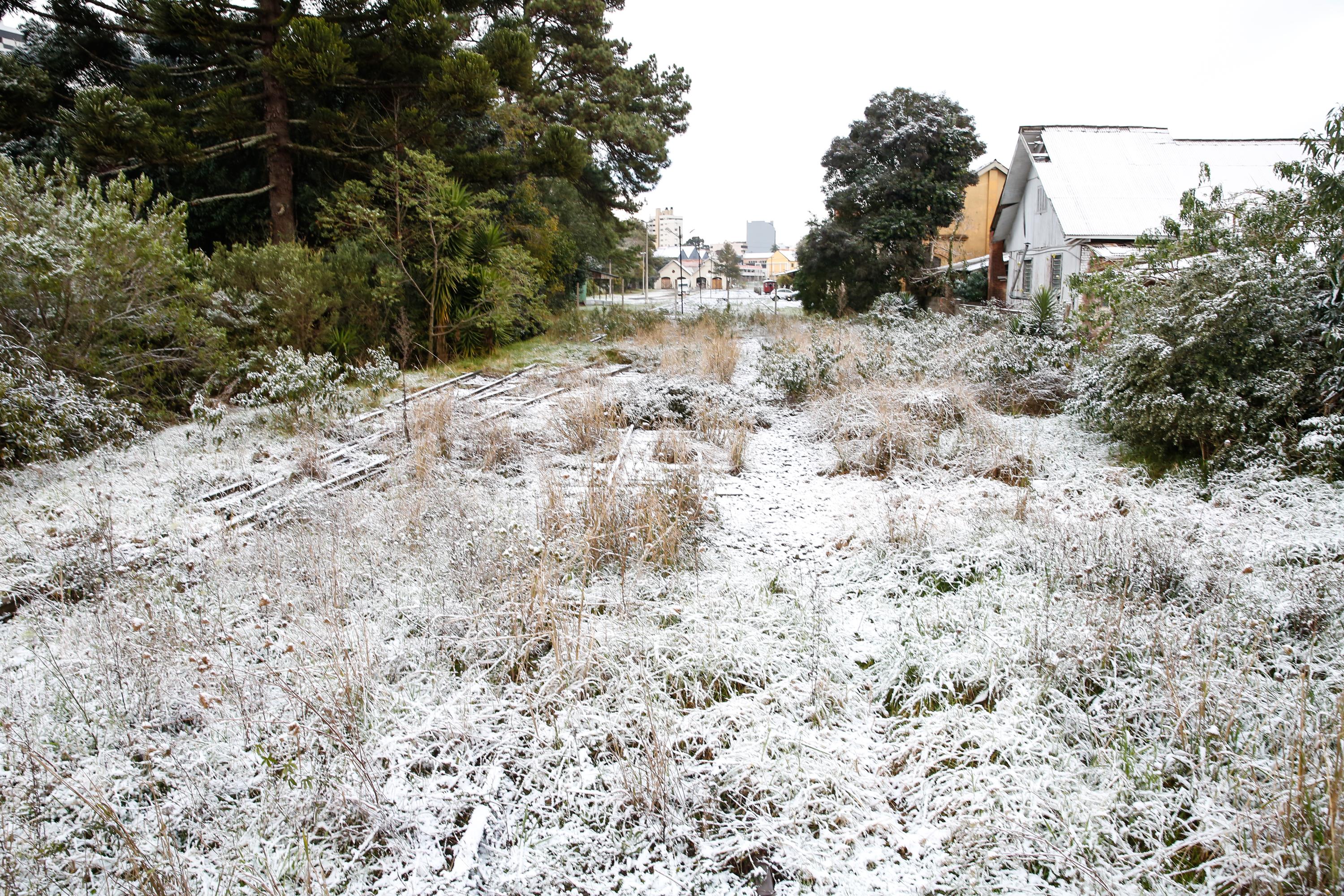 Neve acumulada na cidade de Caxias do Sul (RS) nesta quinta-feira (29)/ Luca Erb