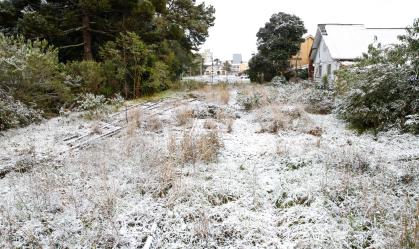 Neve acumulada na cidade de Caxias do Sul (RS) nesta quinta-feira (29)/ Luca Erb