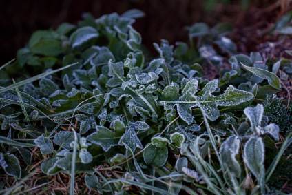 Amanhecer com geada e muito frio na manhã desta quinta-feira (29) na cidade de S