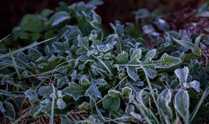 Amanhecer com geada e muito frio na manhã desta quinta-feira (29) na cidade de S