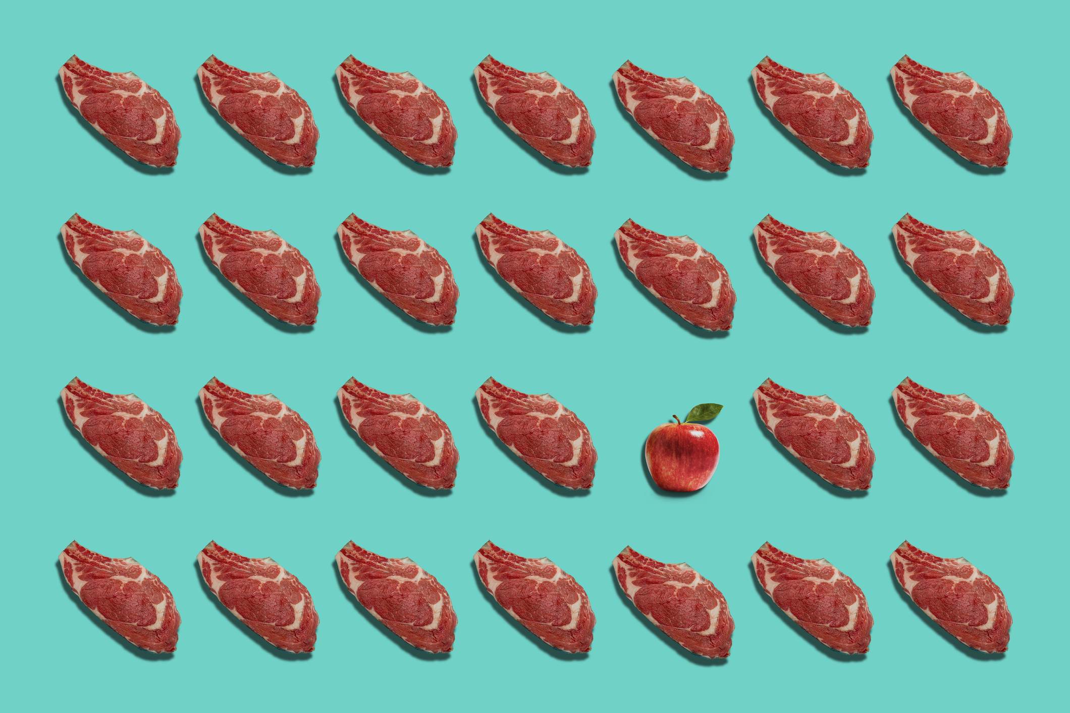 Carne vegetal Carne vegetal