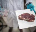 Carne cultivada cresce, mas enfrenta testes de escala e mercado