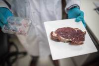 Carne cultivada cresce, mas enfrenta testes de escala e mercado