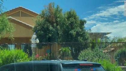 Apicultores retiram colmeia de 45 kg de rua no Arizona