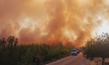 São pelo menos cem focos de queimadas espalhados por uma região turística da Tur