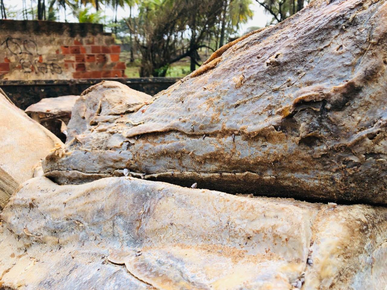 Objeto misterioso em Salvador