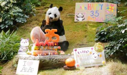 Panda mais velho do mundo, An An morre aos 35 anos