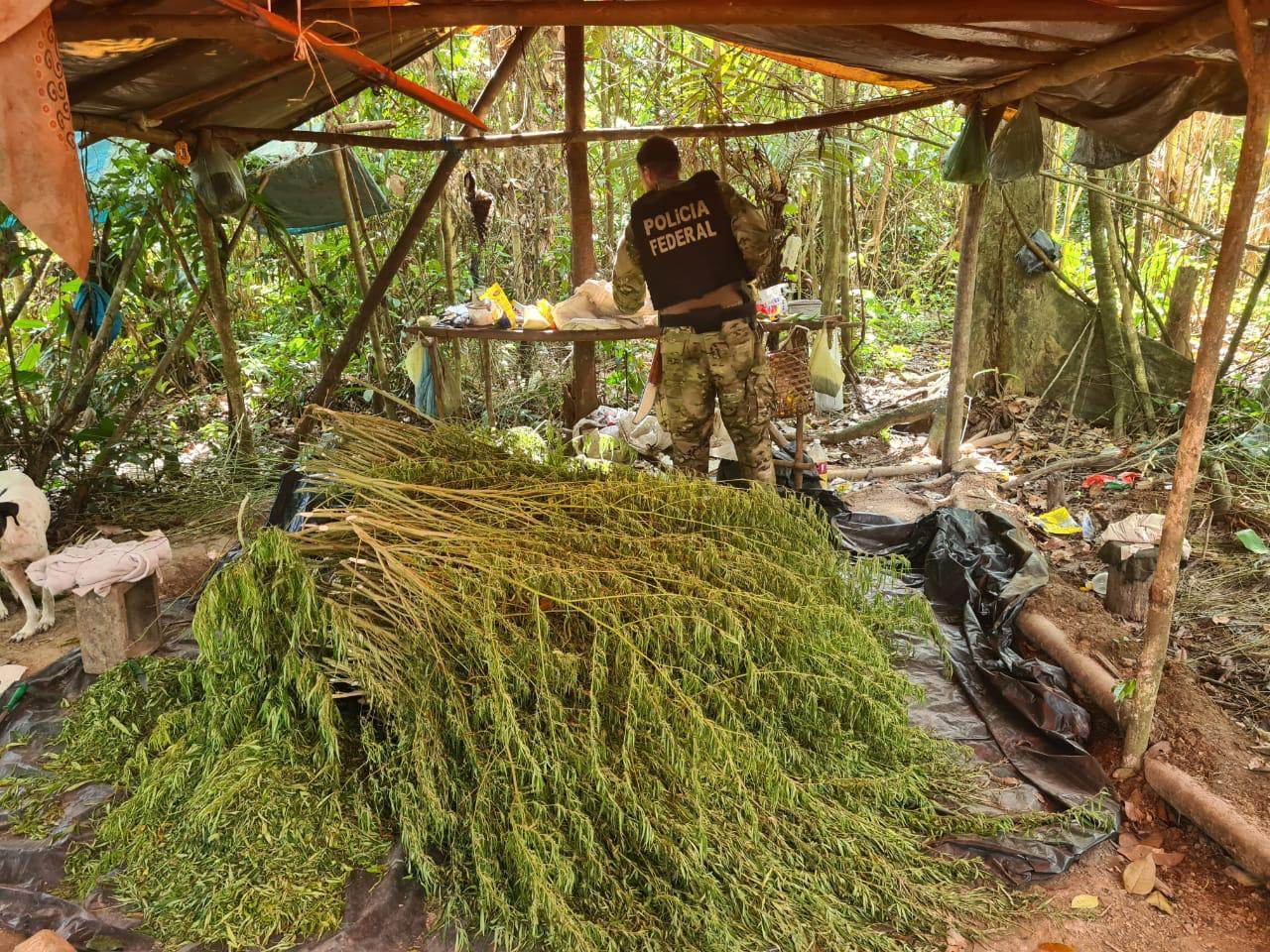 Operação Fusarium, da Polícia Federal, no estado do Maranhão Operação Fusarium, da Polícia Federal, no estado do Maranhão