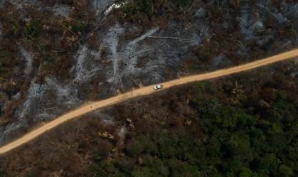Em preparação para COP30, Pará registra em março queda de 59% nos alertas de desmatamento