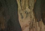 Pinturas em cavernas da Espanha mostram lado artístico dos neandertais