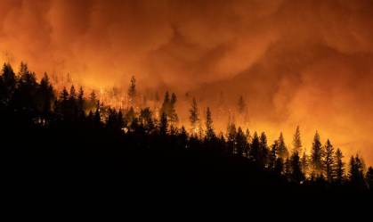 Incêndio california