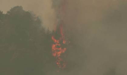 Ilha grega é esvaziada às pressas por causa de incêndio (08.Ago.2021)