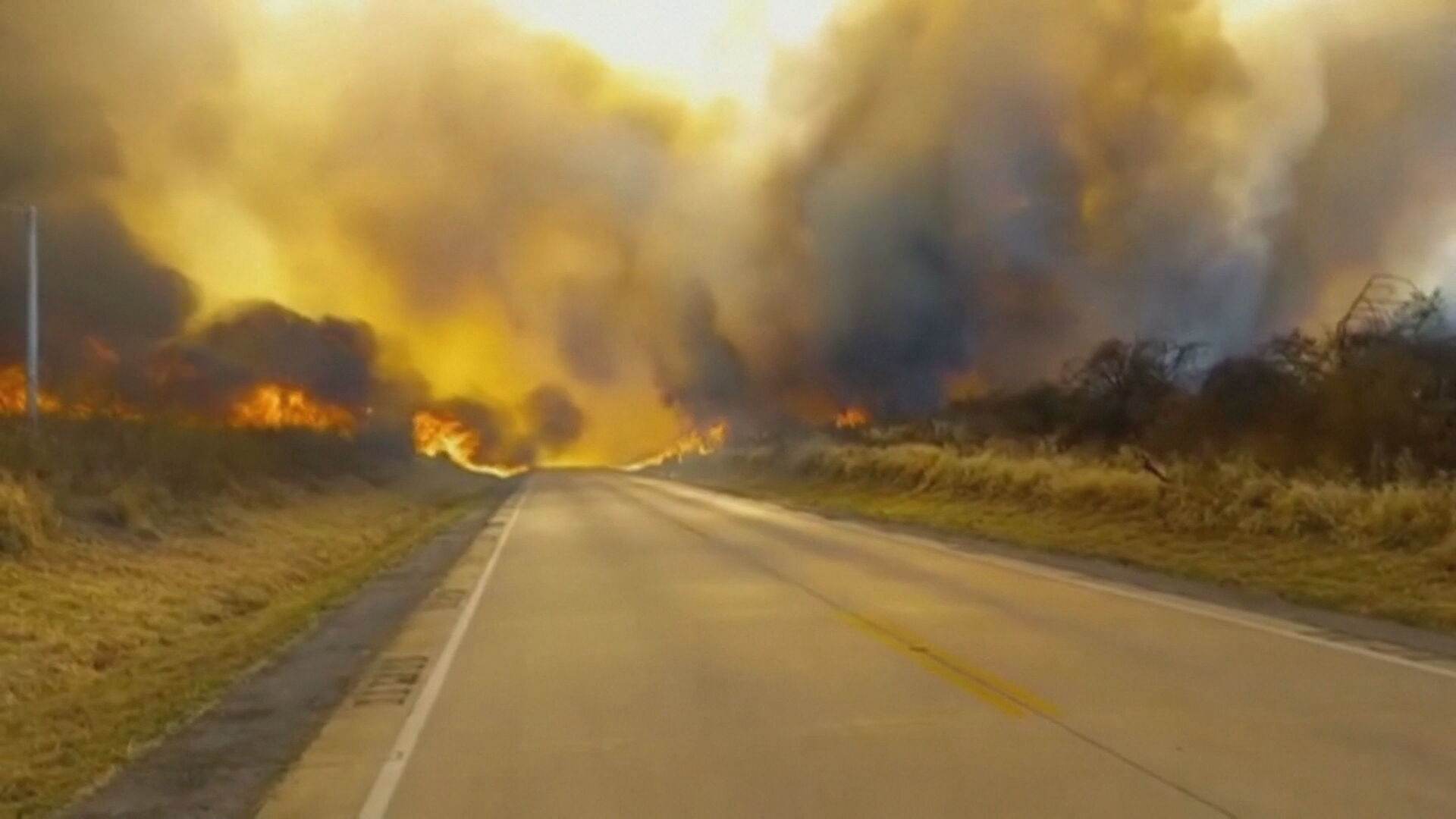 Incêndio florestal atinge o leste da Bolívia, próximo da fronteira com o Brasil Incêndio florestal atinge o leste da Bolívia, próximo da fronteira com o Brasil