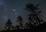 Chuva de meteoros Perseidas atinge o pico nesta semana; saiba mais