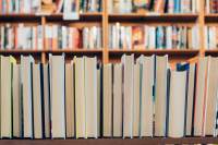 Conheça os 15 escritores preferidos entre os brasileiros