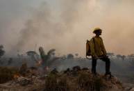 Reconhecimento do meio ambiente como direito humano é histórico, diz especialista