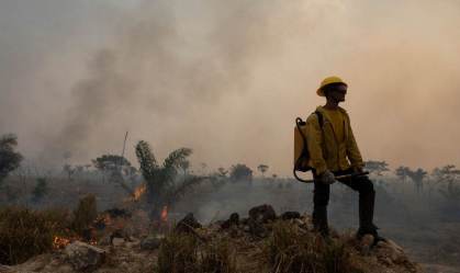 Amazônia em risco, remédio contra Covid e mais da tarde de 1º de outubro