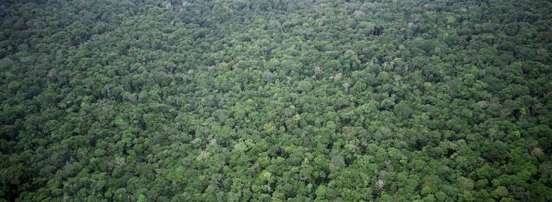 Amazônia