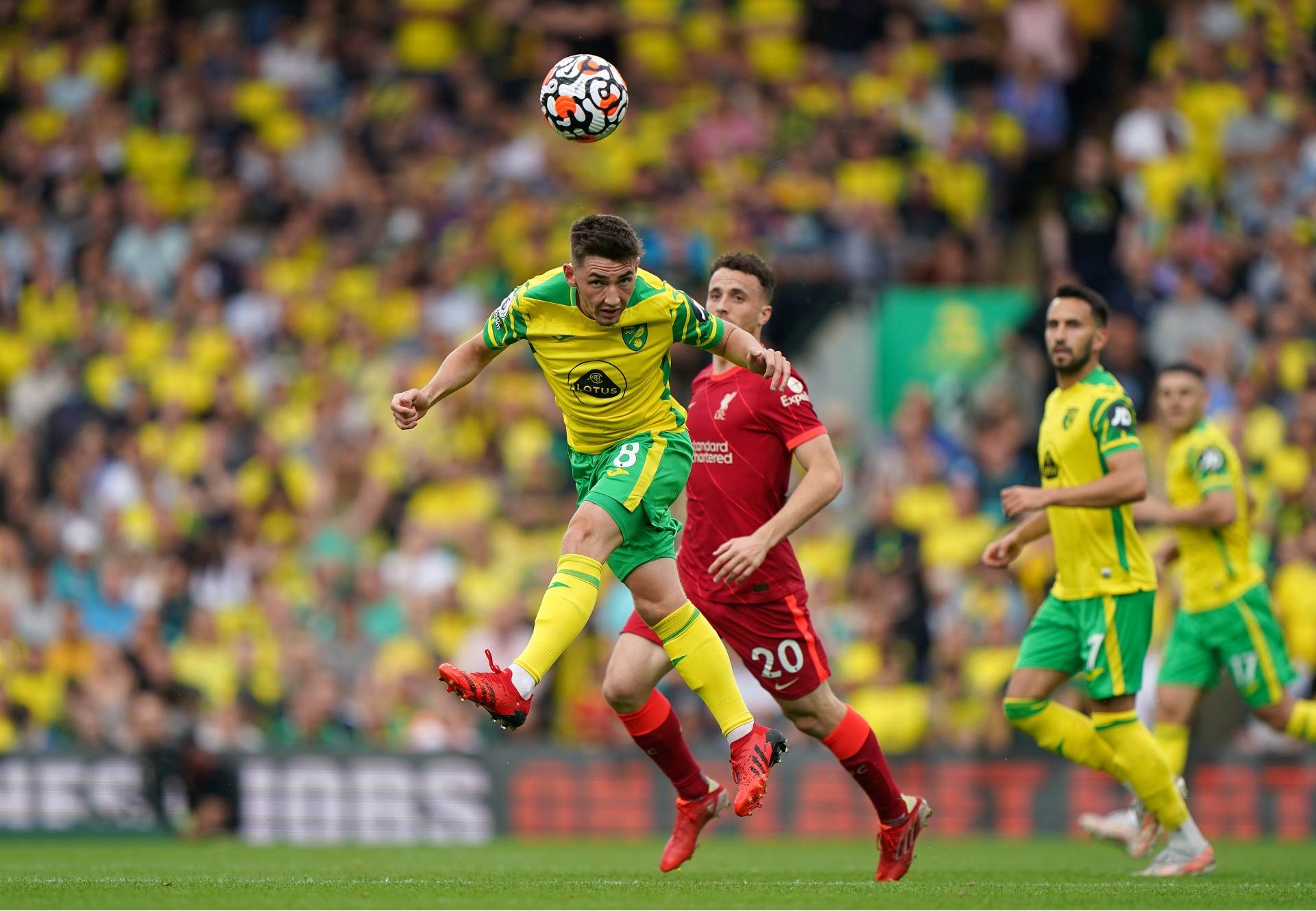 Billy Gilmour, do Norwich City, foi vítima de gritos homofóbicos (E)