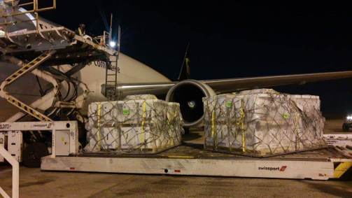 Imunizantes da Pfizer chegaram ao Aeroporto de Viracopos, em Campinas (SP)
