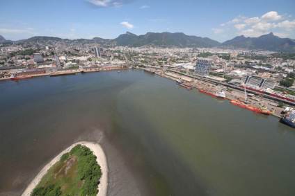 Os animais têm muitos tumores, principalmente nas nadadeiras