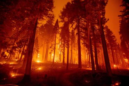 Incêndio florestal Caldor, na Califórnia, já destruiu mais de 25 mil hectares