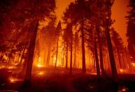 Califórnia: Incêndio florestal aumenta 24 vezes em 2 dias; milhares deixam casas