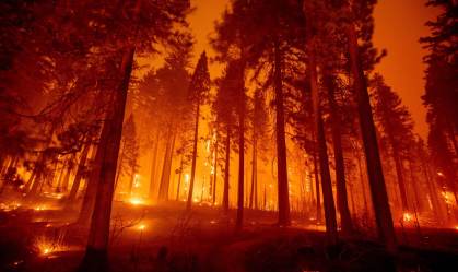 Incêndio florestal Caldor, na Califórnia, já destruiu mais de 25 mil hectares