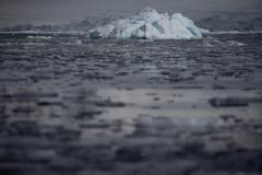 Aquecimento global, Antártica