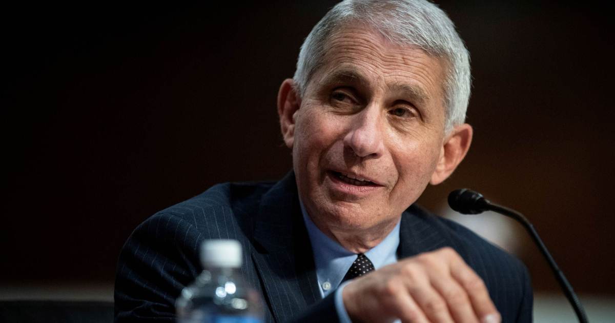 Senado dos EUA acusa Anthony Fauci de desacato ao Congresso