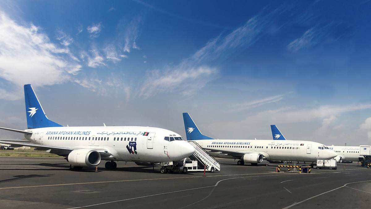 Modelo B737 da Ariana / Divulgação