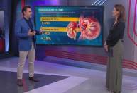 Transplantes de rim caíram 15% durante a pandemia; médico explica importância